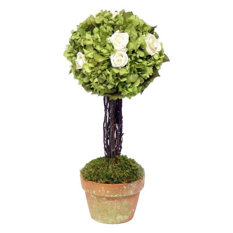 Preserved Rose and Hydrangea Topiary