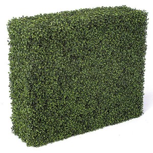 5-Sided Boxwood Hedge
