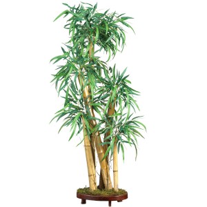 3 Ways to Use Bamboo Plants In and Around Your Home