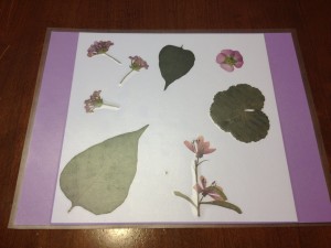 Botanical Placemats To Make With Kids