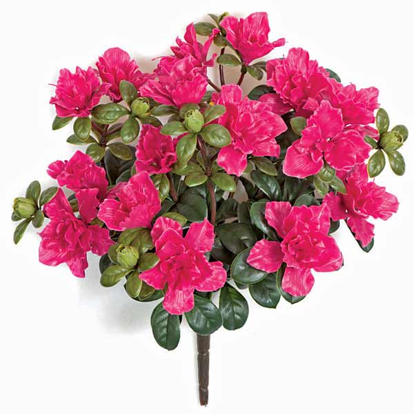 16-Inch Outdoor Azalea