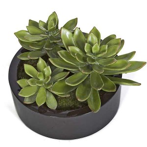 Artificial Succulents in Round Pot