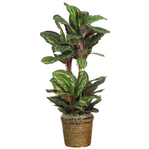 Artificial Maranta Plant