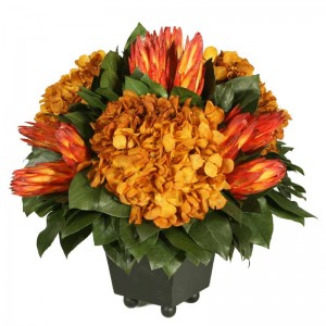 Preserved Protea Arrangement