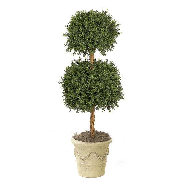 Boxwood Double Ball Topiary