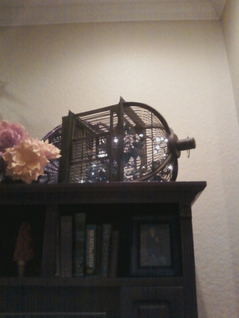 Christmas Lights in a Birdcage