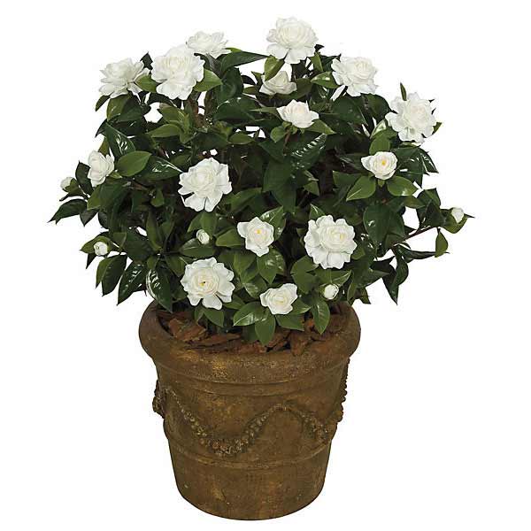 Artificial Potted Gardenia