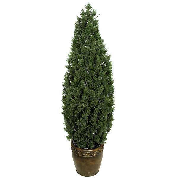 6-Foot Artificial Cedar