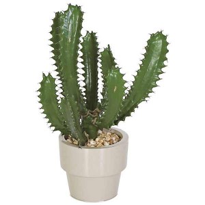 Represent the Hostile Beauty of the Southwest with an Artificial Cactus