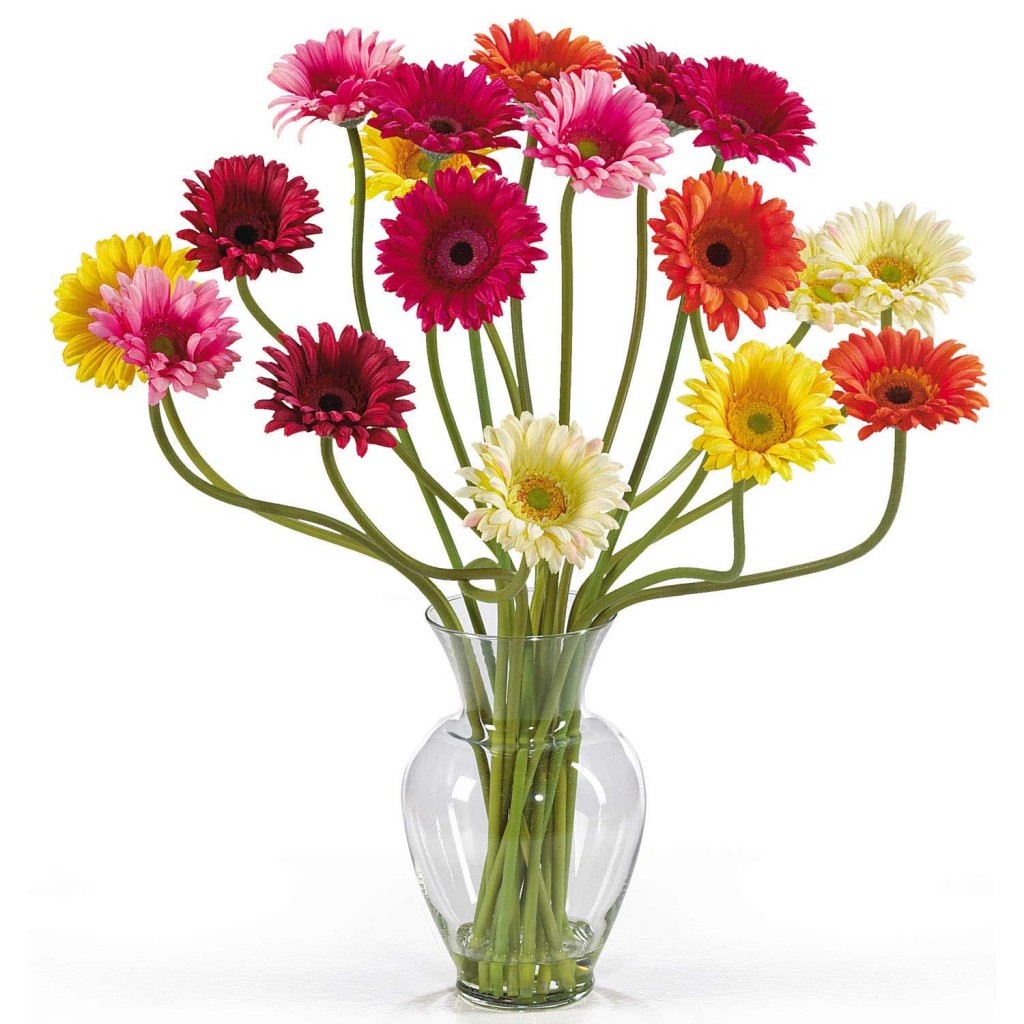 Gerber Daisy Arrangement in Acrylic Water