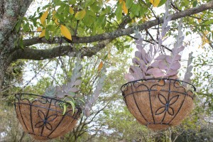 Decorating Your Yard with Hanging Baskets