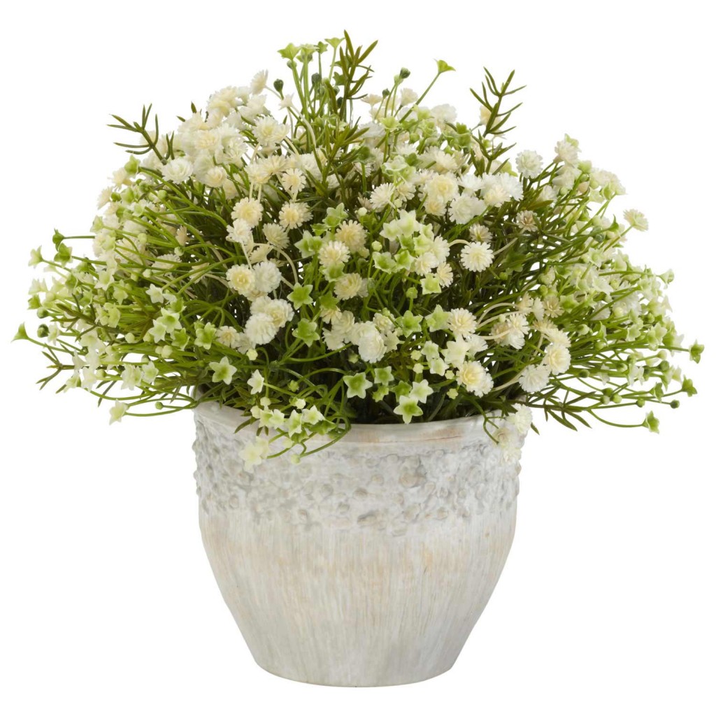 Mixed Mini Daisies in Planter