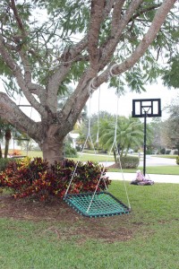 Creating a Front Yard Play Space with Tree Swings