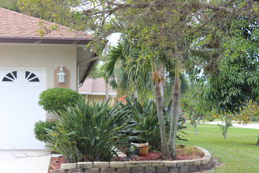 Plants Concealing Air Conditioners