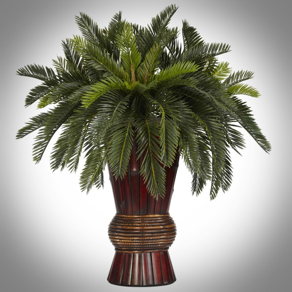 Cycas Palm in Bamboo Vase