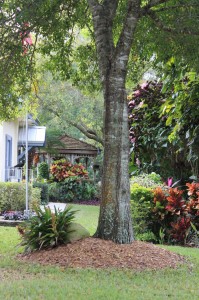 Adding Gazebos and Trellises for Curb Appeal