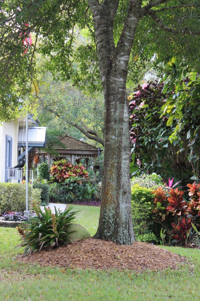 Gazebo and Landscaping