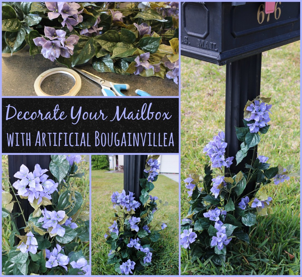 Mailbox Bougainvillea