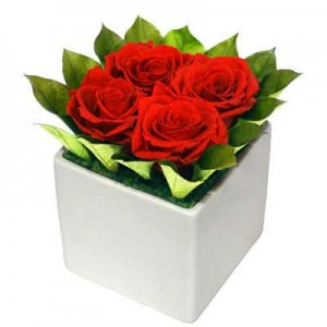 Kentucky Derby Decorations: Beautiful Red Roses