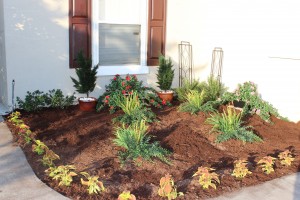 Planting Artificial Plants Outdoors