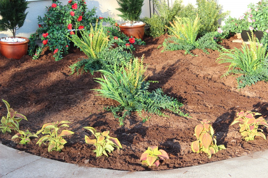 Layout for Artificial Outdoor Plants