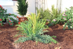 Creating a Drought-Proof Landscape Part 4: Incorporate Artificial Plants and Trees