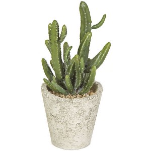 Artificial Plants with Southwestern Style
