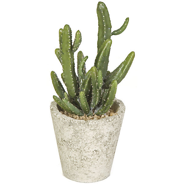 Artificial Cactus