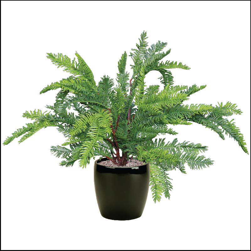 Artificial Outdoor Sequoia