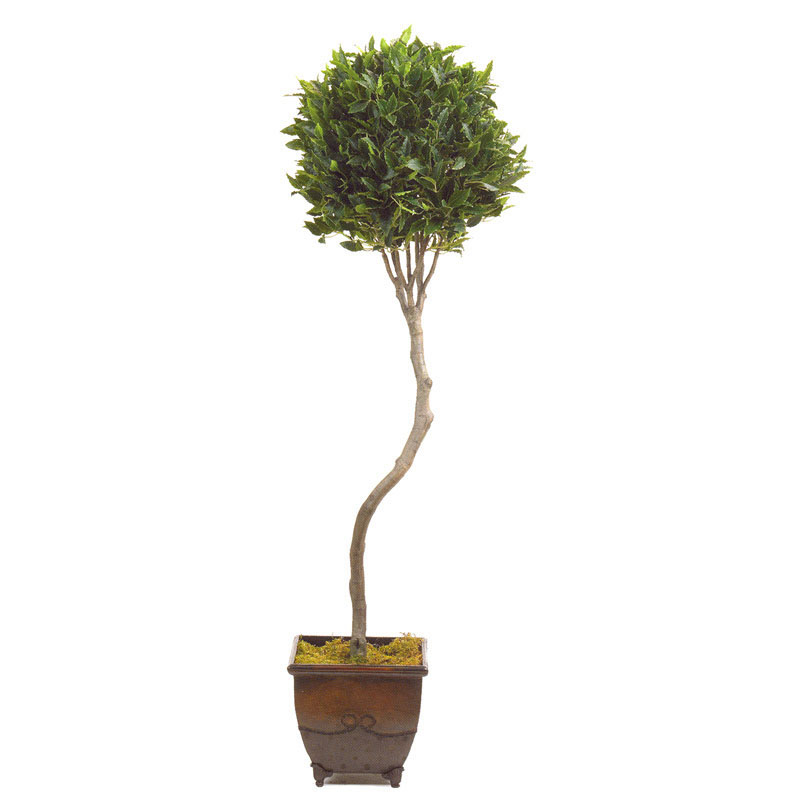Artificial Bay Leaf Topiary