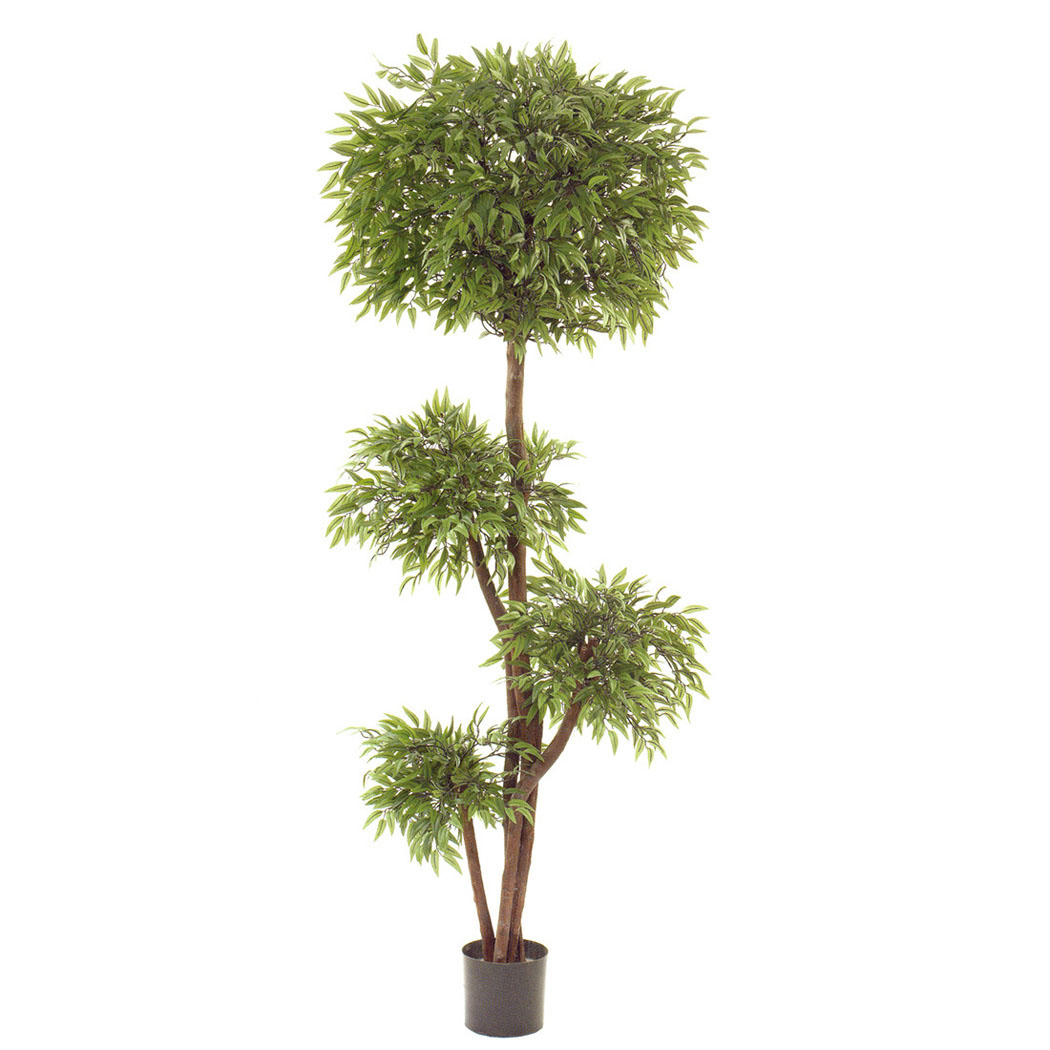 6 Foot Ruscus Quadruple Ball Topiary