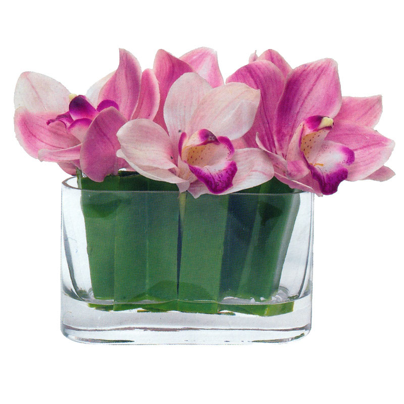 Cymbidium Orchids in Acrylic Water