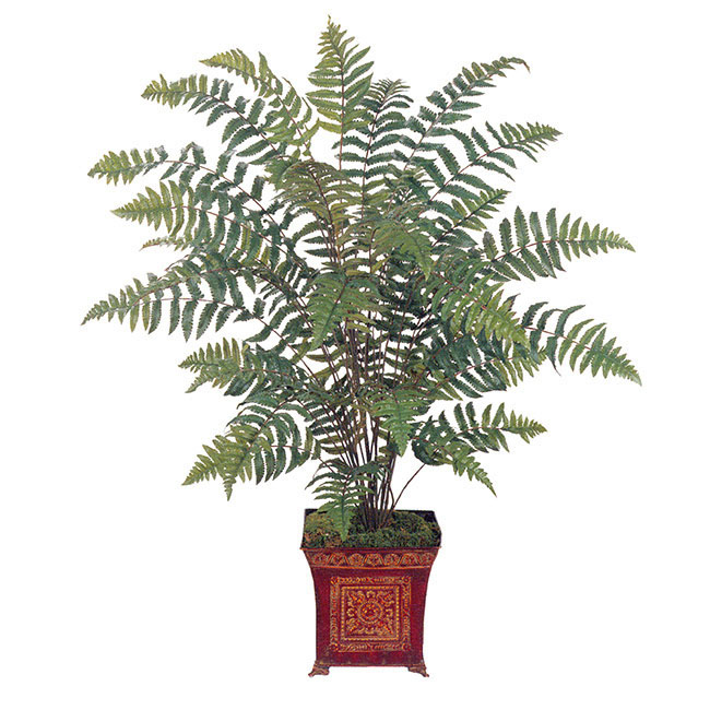 3 Foot Leather Fern Plant