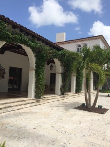 Using Climbing Vines to Accentuate Architecture