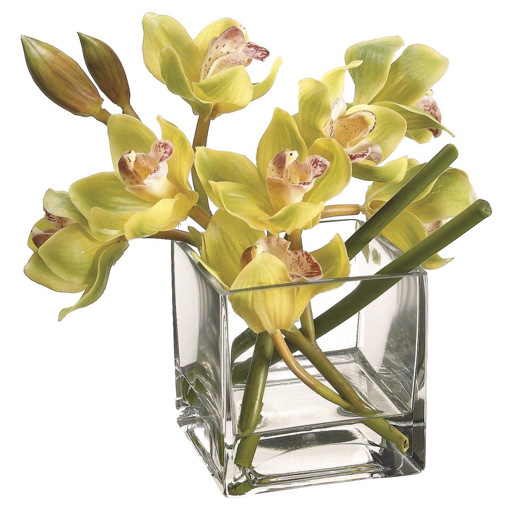 Green Cymbidium Orchids