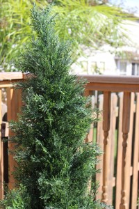 A Close-Up Look at Our Artificial Cedar Tree
