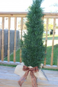 DIY Burlap Wrapped Pot for a Fall Topiary