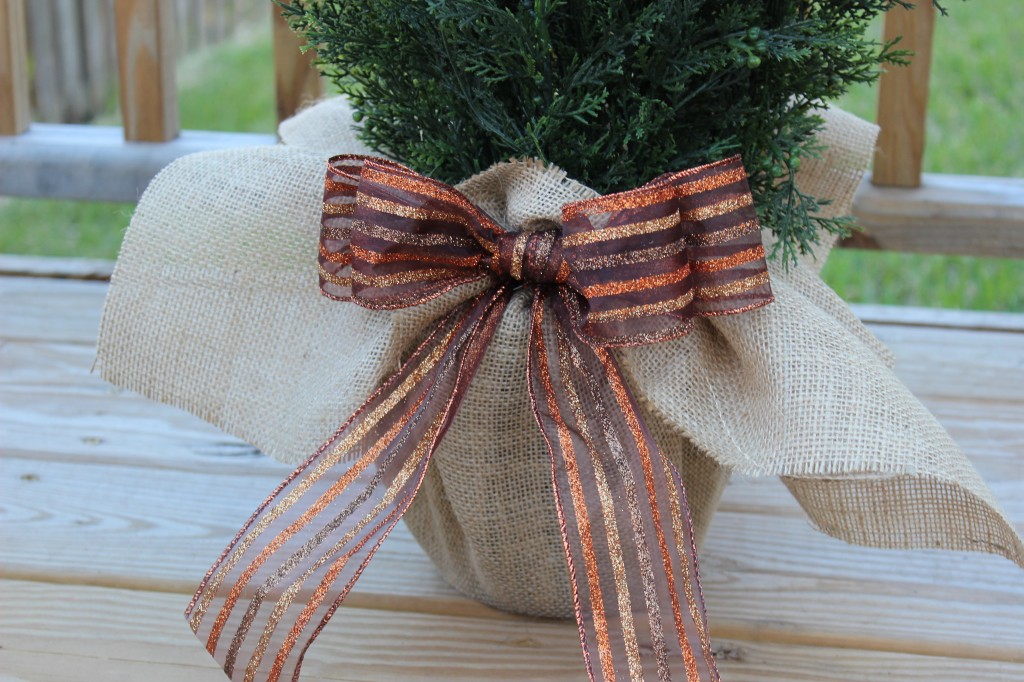 Burlap and Ribbon