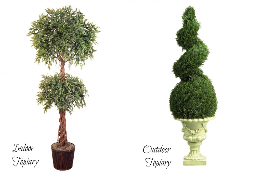 Indoor Vs. Outdoor Topiary