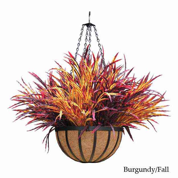 Ribbon Grass Hanging Basket