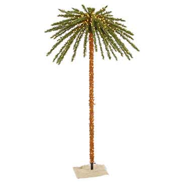 Christmas Palm Tree