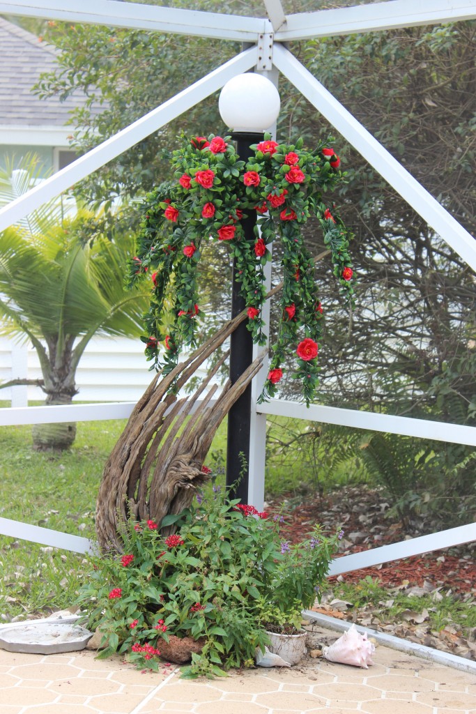 Azaleas on a Light Pole