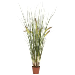 Beach Grass Arrangements For Your Home