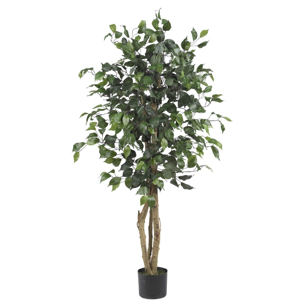 Artificial Ficus Tree