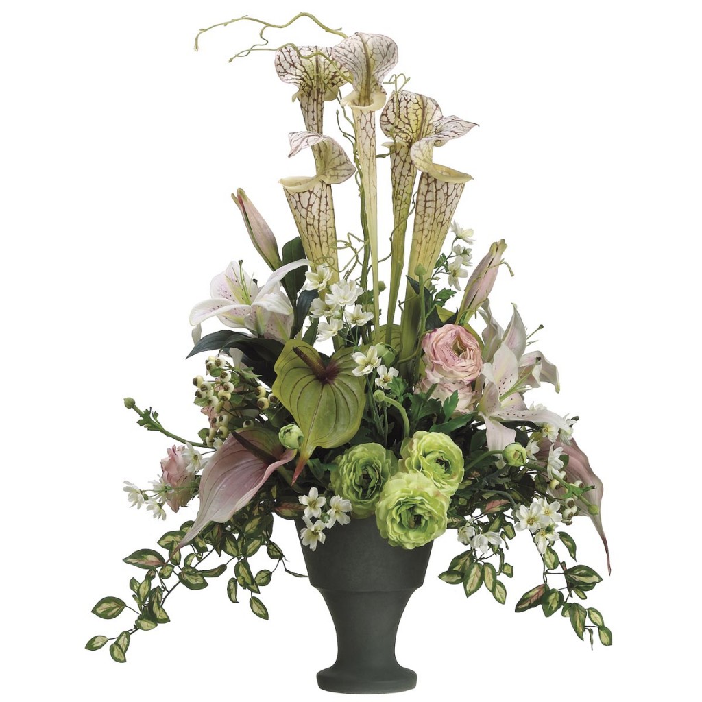 Pitcher Plant, Anthurium & Lily Arrangement