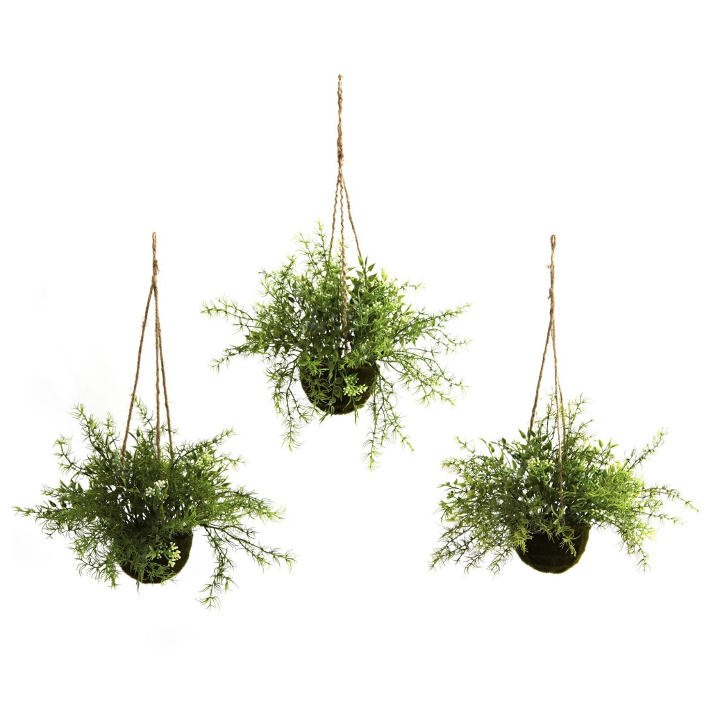 Hanging Plants