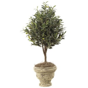 On Trend: Decorating with Olive Trees and Branches