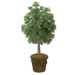 50 Inch Ming Arelia Tree