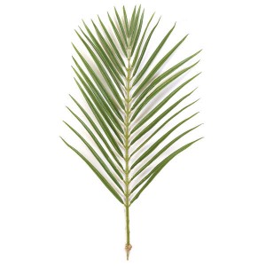 Indoor Palm Frond