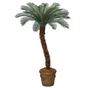 Packed with Artificial Palms